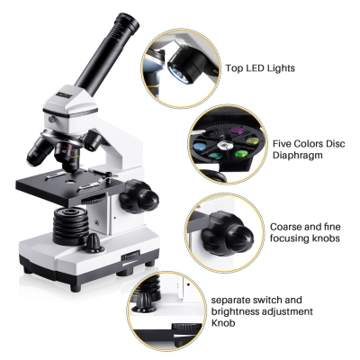 200X-2000X Microscopes