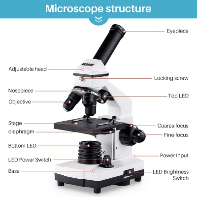 200X-2000X Microscope 