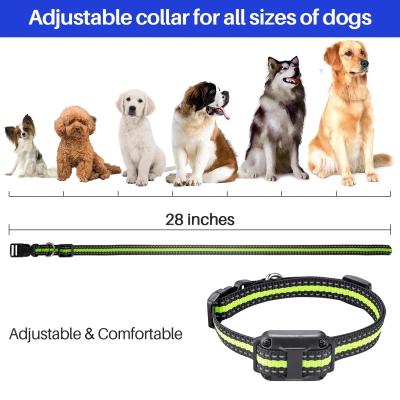 Dog Training Collars