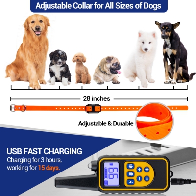 Dog Training Collars