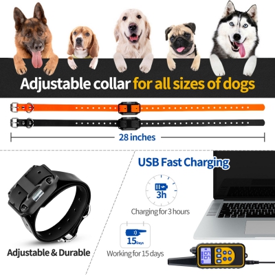 Dog Training Collars