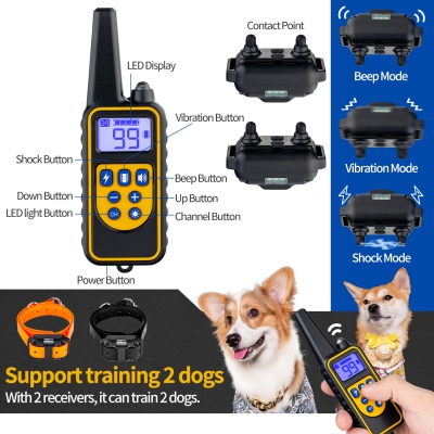 Dog Training Collars