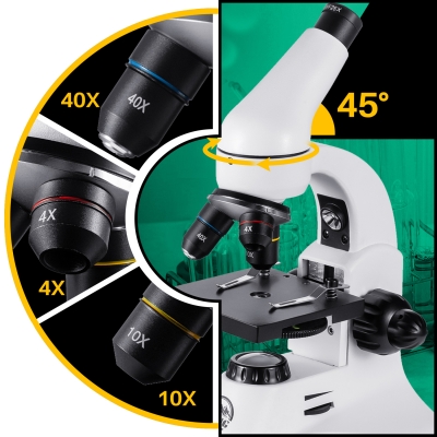 Microscope BH-C13